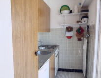 sink, indoor, wall, countertop, plumbing fixture, kitchen appliance, home appliance, tap, cabinetry
